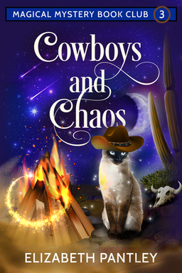 Cowboys and Chaos Ebook Cover.jpg
