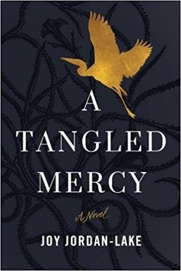 A Tangled Mercy by Joy Jordan-Lake